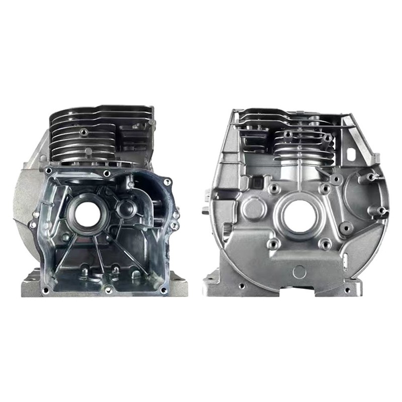 Crankcase iactantes mori